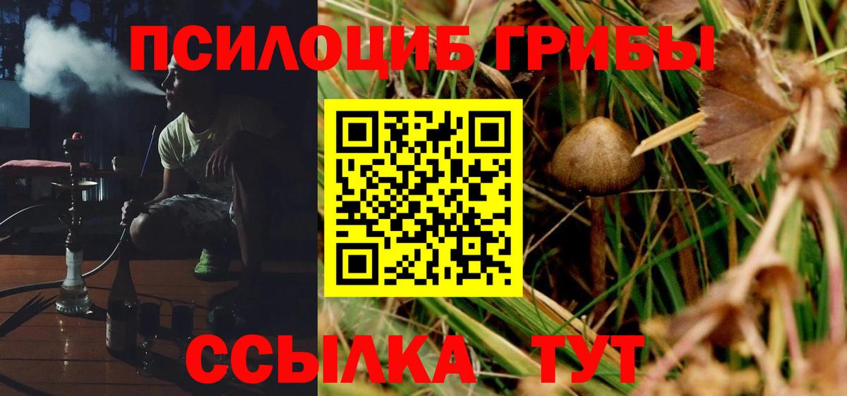 Галлюциногенные грибы MAGIC MUSHROOMS Чехов