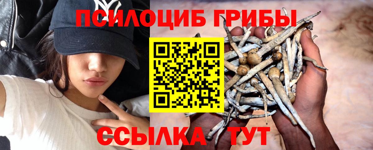 Чехов  Галлюциногенные грибы мицелий  закладки  Вход с VPN 