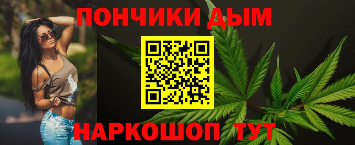 Бошки Шишки Amnesia  Вход с VPN  Марихуана гибрид  Чехов  Марихуана Amnesia 